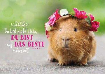 Freundschafts-Postkarte mit Meerschweinchen & Blumen - Niedlicher Tiergruß mit Spruch, Humorvolles Geschenk für Optimismus