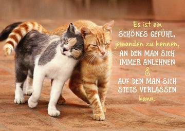 Freundschafts-Postkarte mit Katzenmotiv - Lebensweisheit & Vertrauen, Tierische Gefühlsbotschaft für Nähe und Zusammenhalt