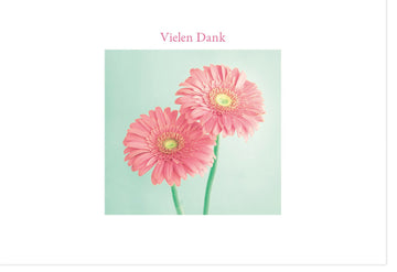 Danksagungskarten für besondere Anlässe - Elegante Doppelkarte mit Gerbera in Rosa Pastell, Schlichtes Design zum Danke Sagen und Ausdruck von Wertschätzung und Anerkennung