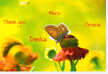 Danksagungskarte "Multilinguale Blütenpracht" - Bunte Natur & Schmetterling Design, Mehrsprachiges Danke mit "Thank You, Merci, Grazie" - Hochwertige Doppelkarte für Dankbarkeit und Wertschätzung