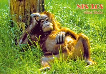 Freundschafts-Grüße Postkarte | Orang-Utan Entspannung & Natur | Humorvolle Tierliebe & Gemütlichkeit | Witzige Chill-Out Karte für Freunde | Sehnsucht & Zusammenhalt Botschaft | Grün Relax Motiv