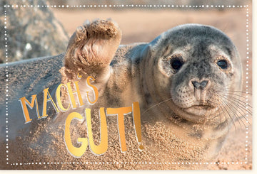 Abschiedskarte mit Seehund am Sandstrand - "Machs gut" Grußkarte, Tschüss Meerestier, Niedliche Robbe am Strand, Verabschiedung Farewell Card, Doppelkarte für Meerliebhaber