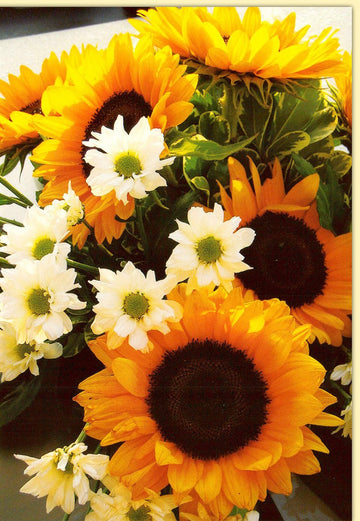 Blankokarten Blumen Natur Sonnenblumen und weiße Gänseblümchen auf der Vorderseite ideal für verschiedene Anlässe wie Geburtstage oder Dankeskarten mit Umschlag