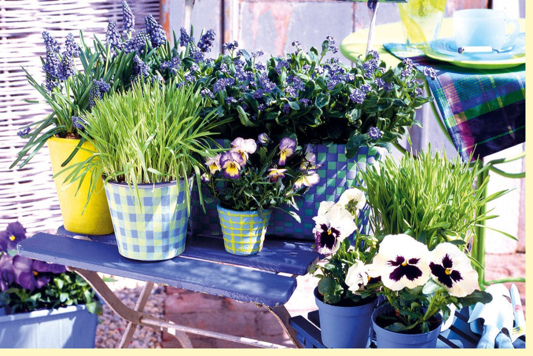 Frühlings - & Sommergruß: Doppelkarte mit Blumenarrangement & Gartenstuhl - Blanko Grußkarte für Geburtstag, Einladung, Dankeschön - Naturmotiv mit bunten Blüten, Pansees & Lavendel in Blautönen für Frauen