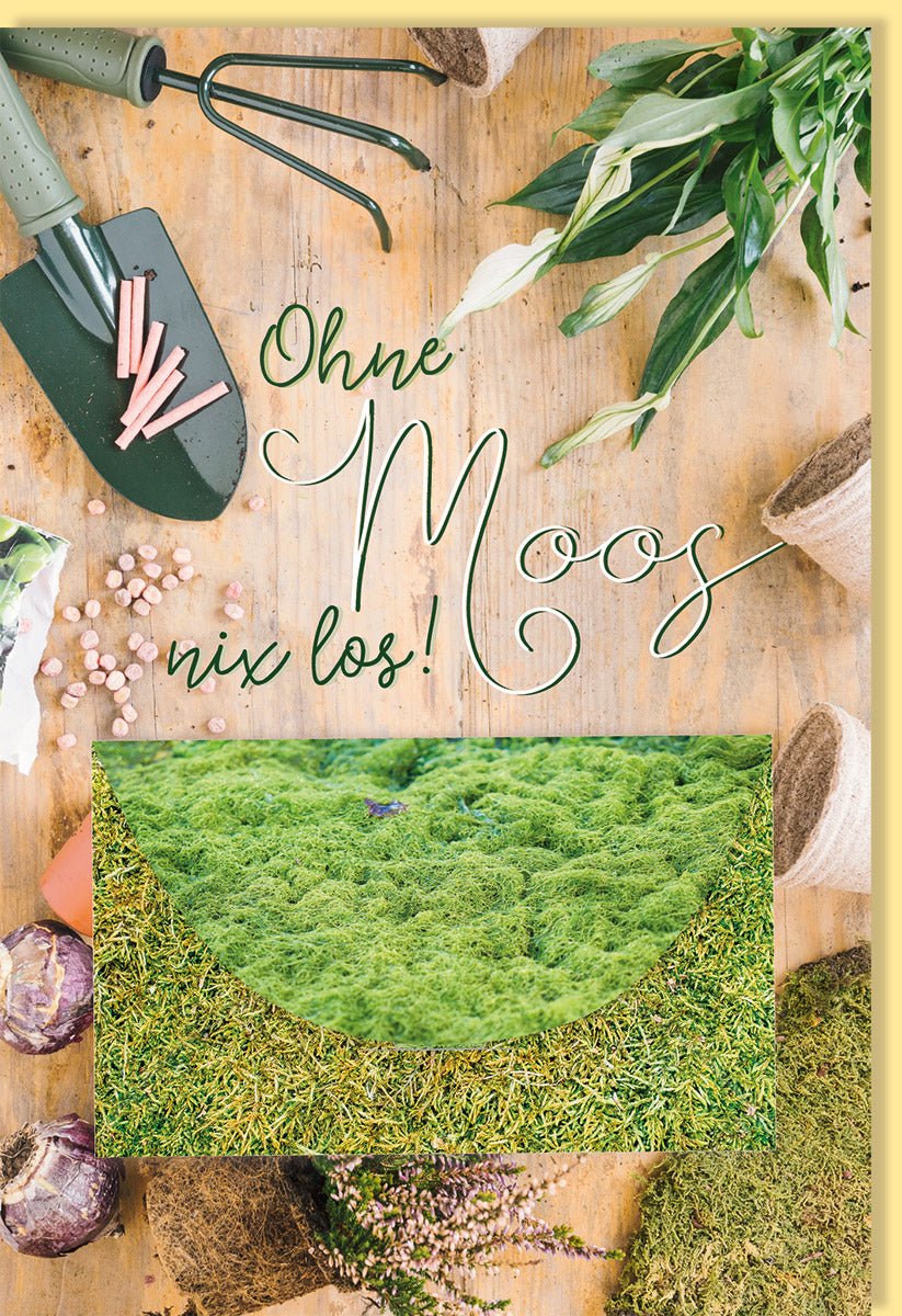 Geburtstag & Hochzeit Glückwunschkarte mit Geldkuvert - Witzige Finanzspritze Geldgeschenk Karte, Originelles Moos - Design mit Spruch, Grün Natur Humor Geldverpackung, Kreatives Wortspiel Geschenkkarte