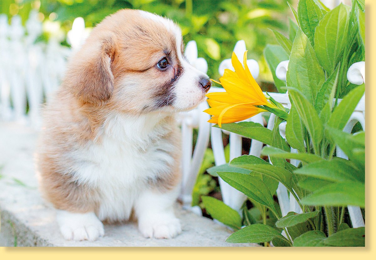 Geburtstags - & Alltags - Doppelkarte mit Hundewelpen & Blumenmotiv - Blanko Grußkarte für Tierliebhaber, Hundefreunde, Naturfotografie - Niedlicher Hundeblick in Gelb, Grün & Weiß - Perfekte Geschenkidee