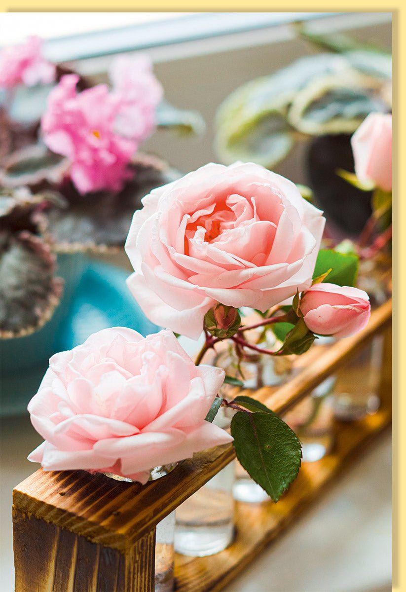 Geburtstags - & Dankeschön - Doppelkarte - Romantische Rosen Blumenkarte, Zarte Rosa Pink Natur Liebe Motive, Frühlings - & Sommerdeko für Zuhause, Ideale Grußkarte für Frauen und Mütter, Wohnkultur Tischdekoration