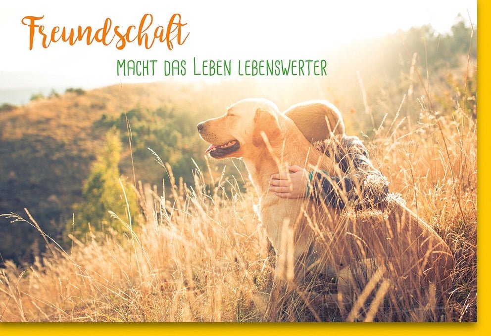 Geburtstags - Doppelkarte: Freundschaft & Liebe - Sonnenuntergang mit Hund, Naturmotiv - Glückwünsche voller Herzlichkeit & Wärme