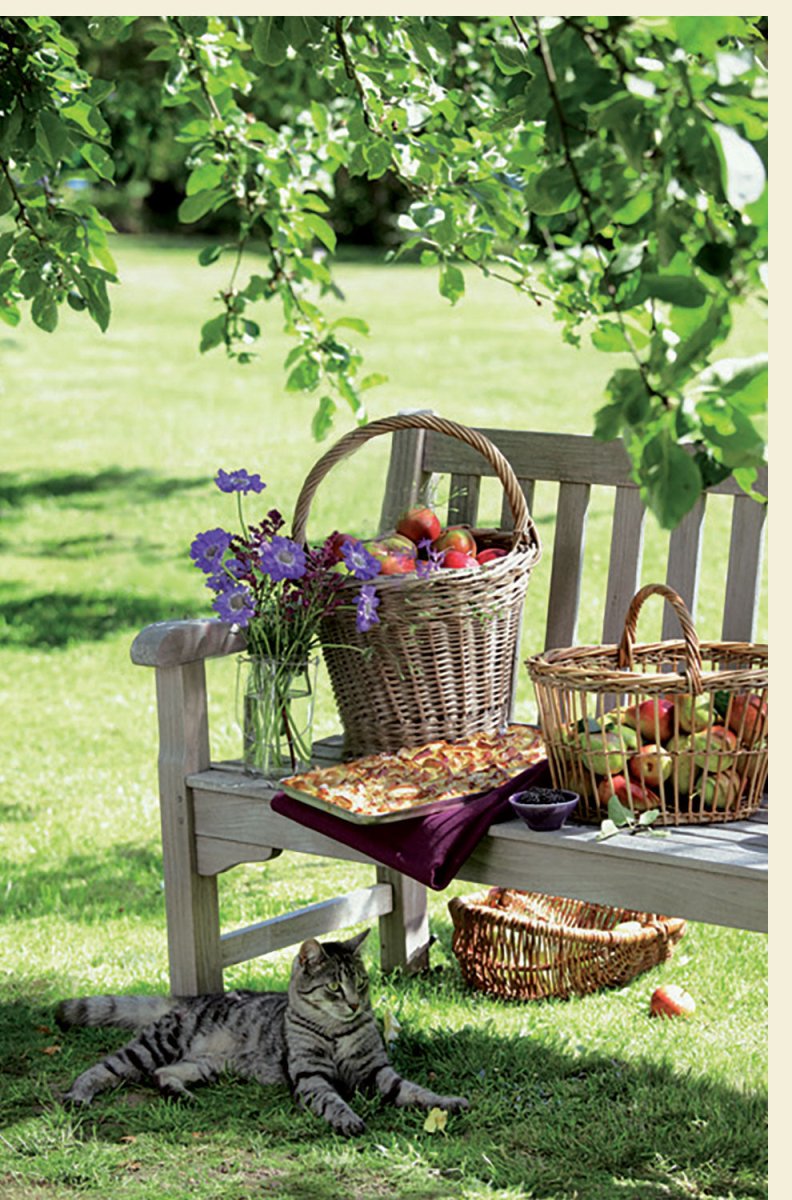 Geburtstags - Doppelkarte: Idyllischer Garten mit Katze, Apfel & Blumenkorb - Sommerliche Natur - Blankokarte für Entspannung & Ruhe