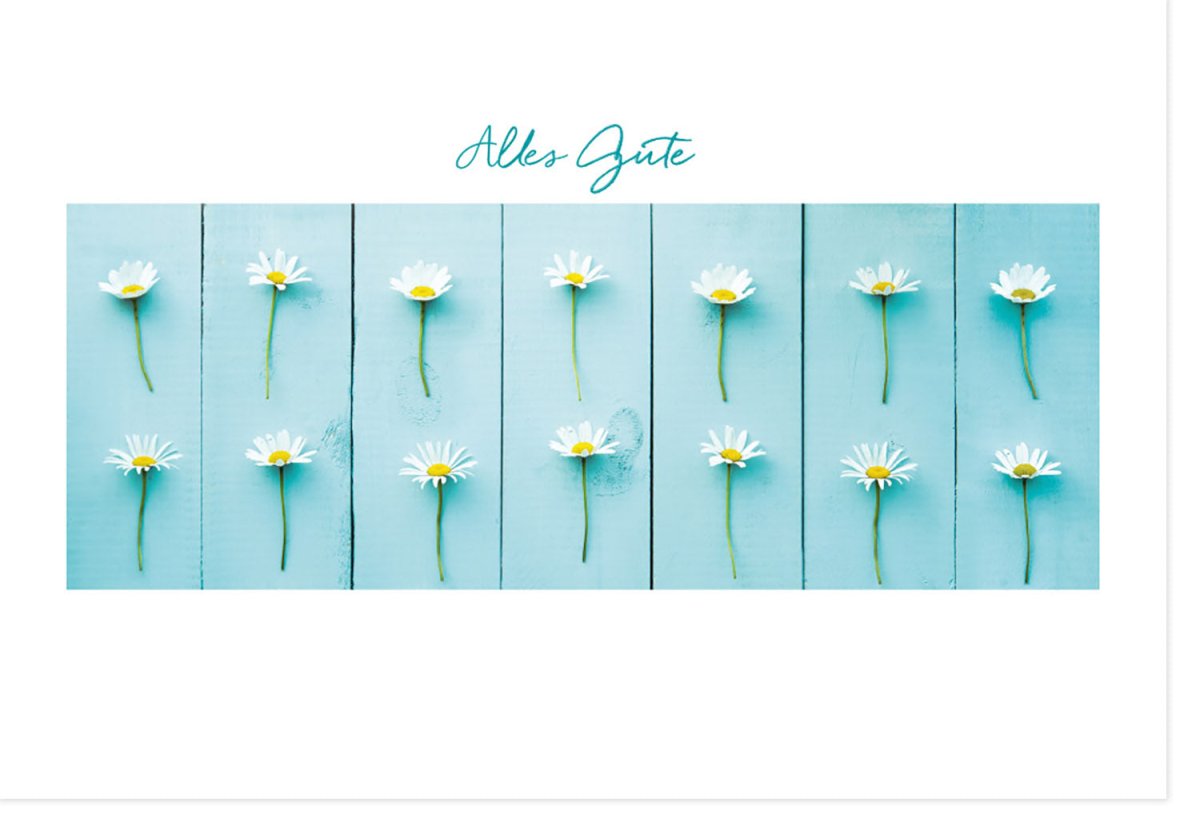 Geburtstags - Doppelkarte in Holzoptik mit Gänseblümchen & Pusteblume - Elegante Retro Glückwunschkarte, Natur Design, Hellblau