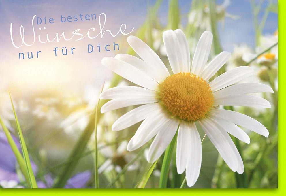 Geburtstags - Doppelkarte "Margeritenzauber" - Blumenwiese & Sonnenschein Motiv, Allgemeine Glückwunsch - & Grußkarte für Liebe, Freude & Frieden