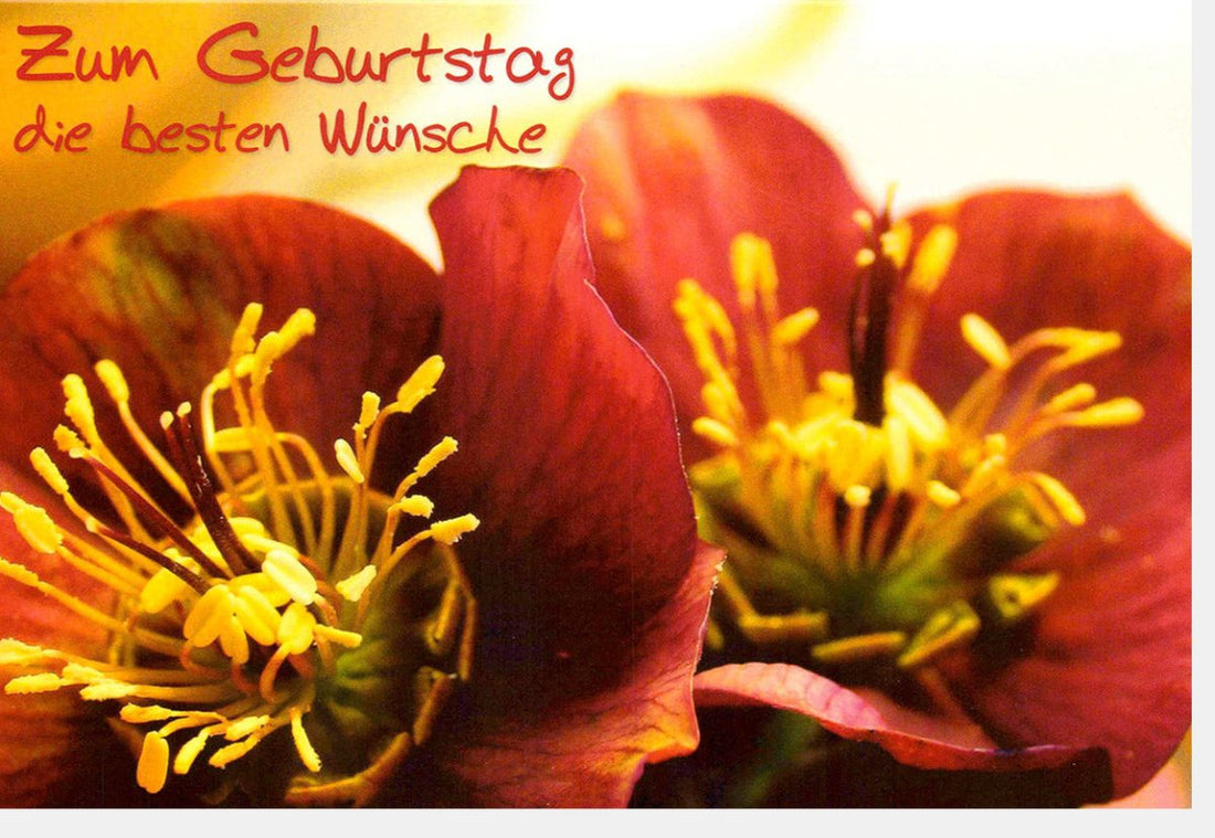 Geburtstags - Doppelkarte mit Blumenwünschen: Elegantes Blütendesign, Herzliche Glückwünsche & Geburtstagsspruch, Florale Grußkarte