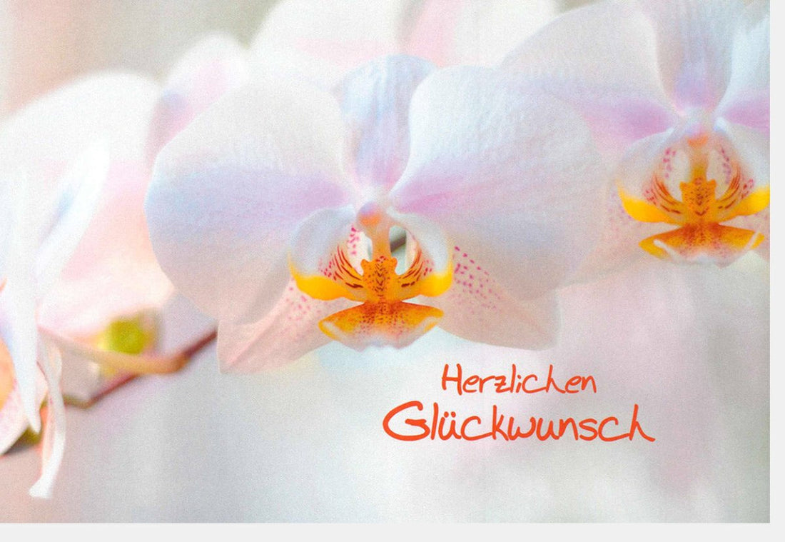 Geburtstags - Doppelkarte mit floralen Motiven - Herzlichen Glückwunsch, Blumen Design in Weiß & Orange, Ideal für Gratulation & Feier - Schreibwaren & Papeterie Geschenk