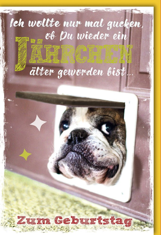 Geburtstags - Doppelkarte mit lustigem Hund und Spruch – Witzige Glückwunsch - Karte für Haustierliebhaber