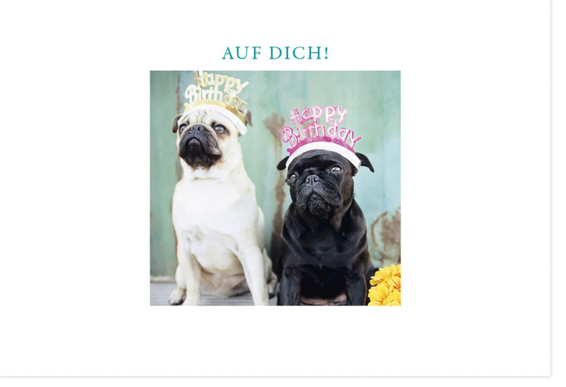 Geburtstags - Doppelkarte mit Mops - Motiv: Lustige Hunde Happy Birthday Grußkarte, Witzige Tierische Geburtstagsgrüße