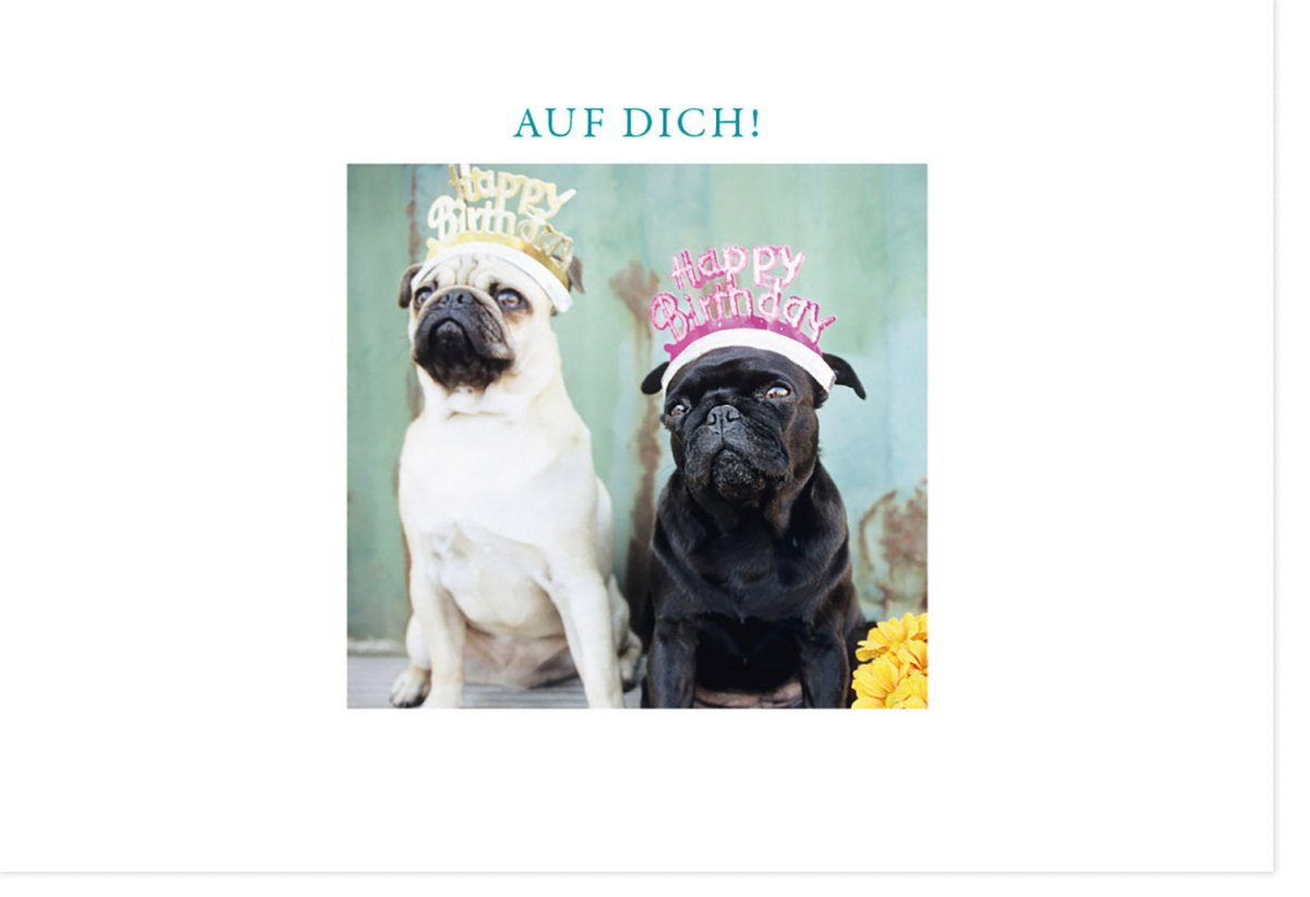 Geburtstags - Doppelkarte mit Mops - Motiv: Lustige Hunde Happy Birthday Grußkarte, Witzige Tierische Geburtstagsgrüße