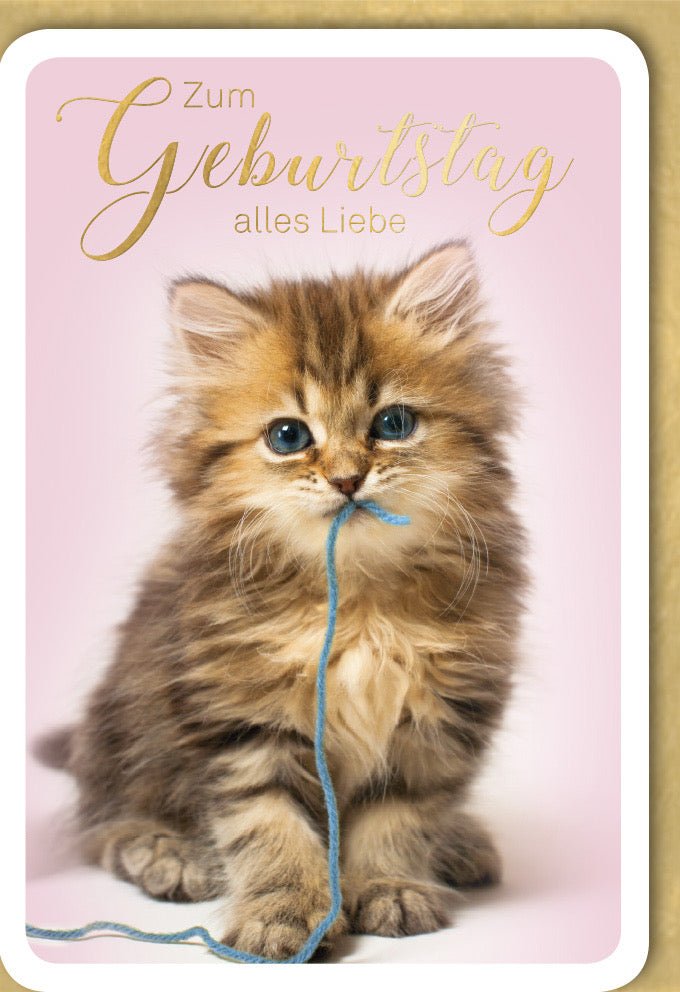 Geburtstags - Doppelkarte mit niedlichem Kätzchen - Motiv: Süße Katzen Glückwunschkarte, Tierliebe & Herzliche Gratulation