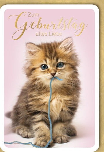 Geburtstags - Doppelkarte mit niedlichem Kätzchen - Motiv: Süße Katzen Glückwunschkarte, Tierliebe & Herzliche Gratulation