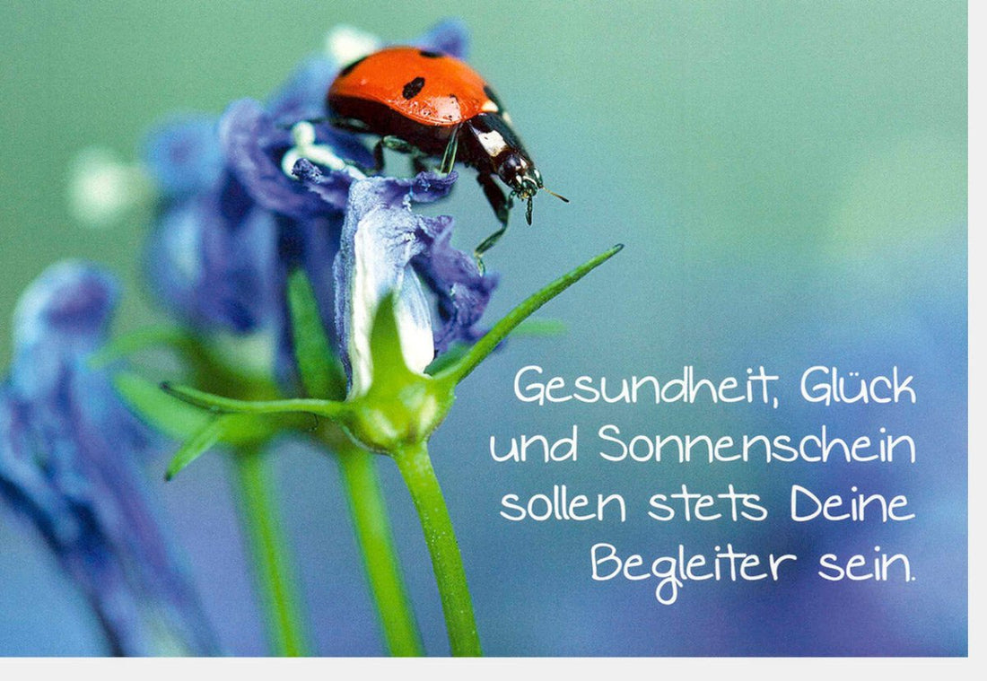 Geburtstags - Doppelkarte mit Spruch für Gesundheit und Glück – Farbenfrohe Glückwunschkarte mit Sonnenschein, Marienkäfer & Blumenmotiv – Naturdesign Grußkarte voller Freude & Festlichkeit