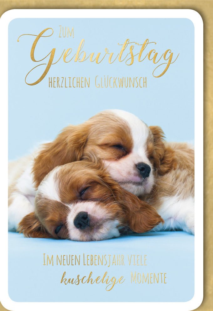 Geburtstags - Doppelkarte mit Welpen - Motiv: "Herzlichen Glückwunsch" - Kuschelige Tiere, Niedlicher Spruch, Schlafend