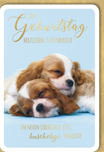 Geburtstags - Doppelkarte mit Welpen - Motiv: "Herzlichen Glückwunsch" - Kuschelige Tiere, Niedlicher Spruch, Schlafend