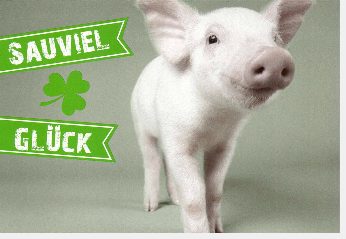 Geburtstags - Doppelkarte "Sauviel Glück" - Glückwunschkarte mit Kleeblatt & Glücksschwein Motiv, Erfolg & Glücksbringer Grußkarte, Anlasskarte für Viel Glück Wünsche, Schweinchen Glücksbotschaft