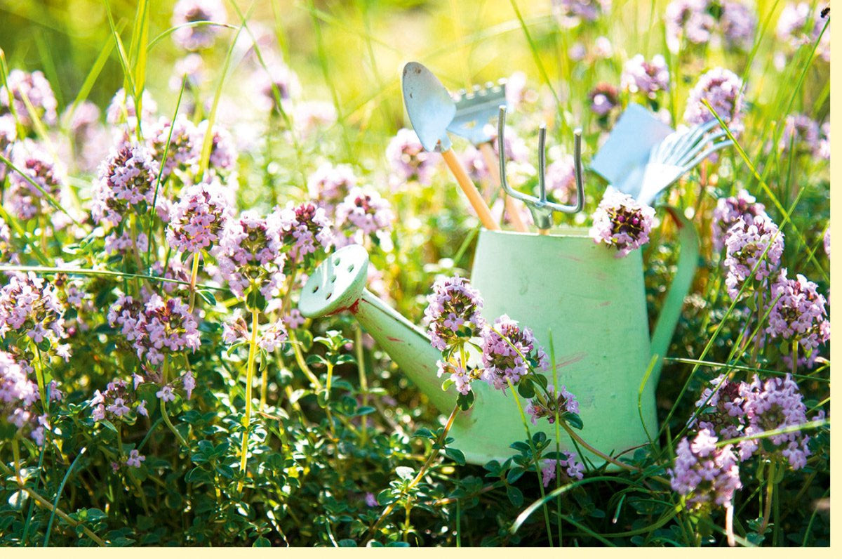 Geburtstags - Doppelkarte Sommerliche Blumenwiese mit Gießkanne & Gartenwerkzeug - Natur Fotokarte Blanko