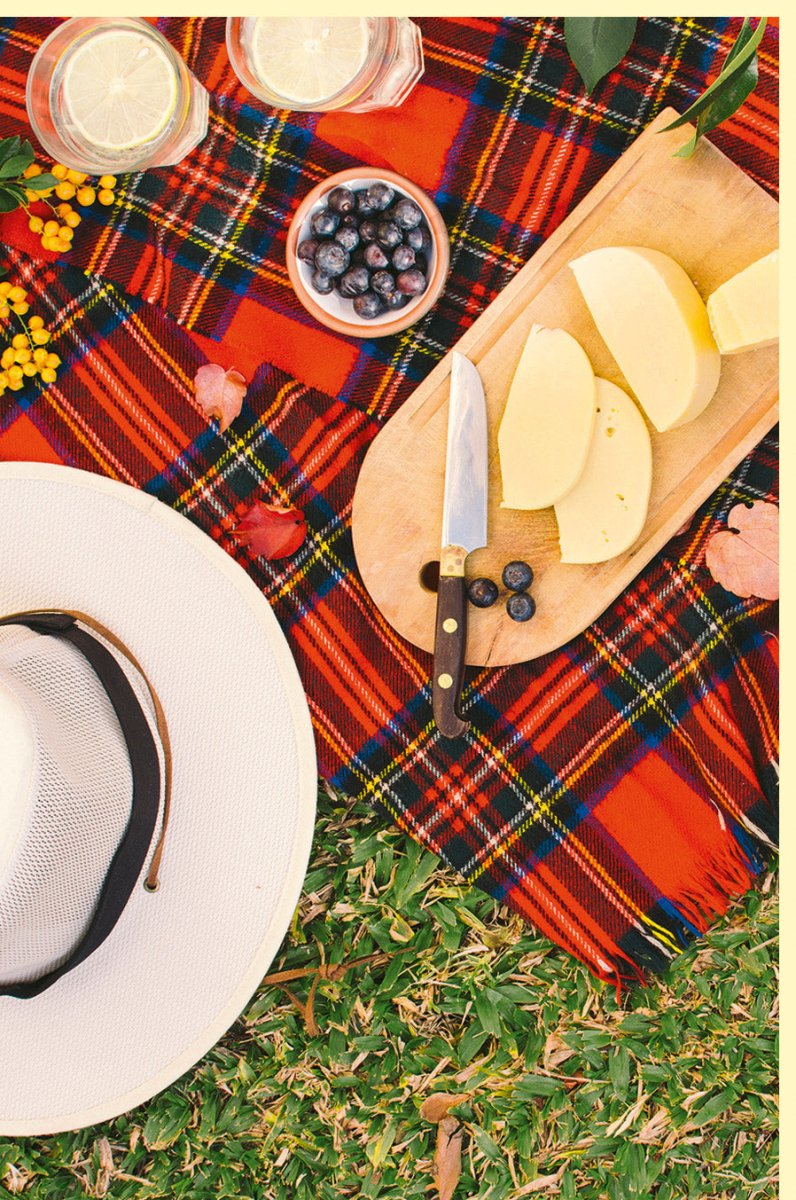 Geburtstags - Doppelkarte "Sommerliches Picknick" - Natur & Idylle, Blanko Fotogruß mit Blumen, Früchten & Sonnenhut