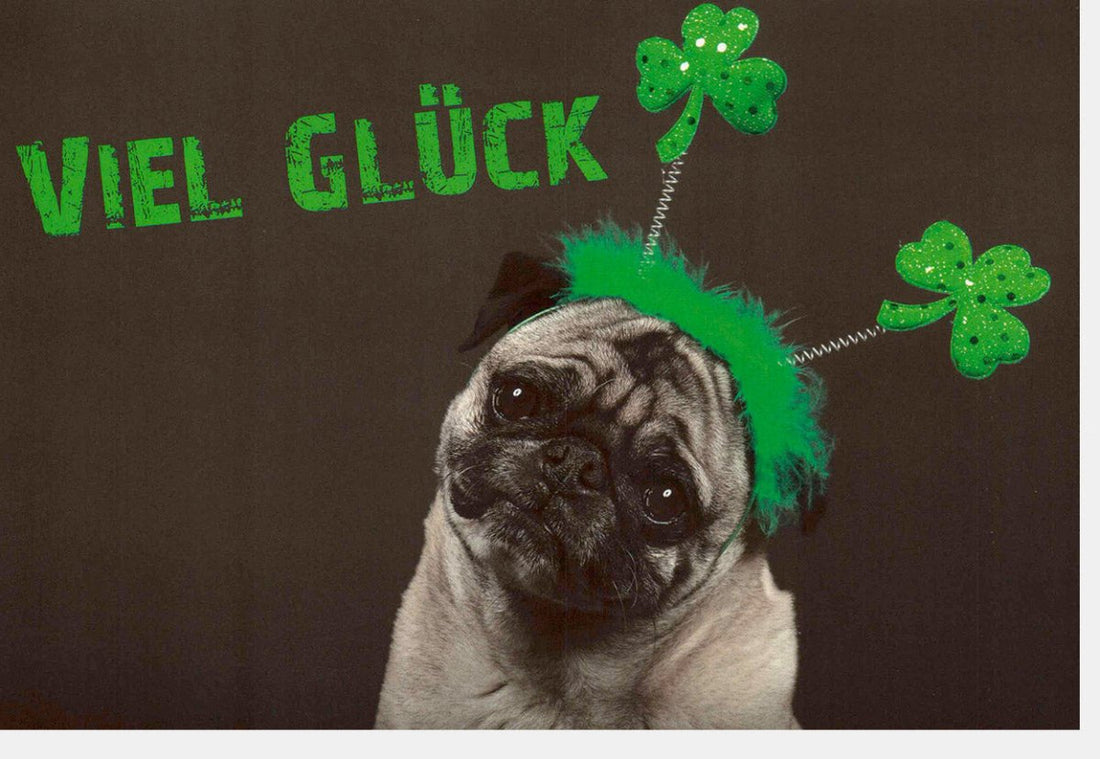 Geburtstags - Doppelkarte "Viel Glück Mops" mit Kleeblatt - Lustige Grußkarte & Glückwunschkarte, Tiermotiv Hund, Niedlich & Humorvoll, Cartoonillustration in Grün & Schwarz, Ideal für Feier & Erfolgswünsche
