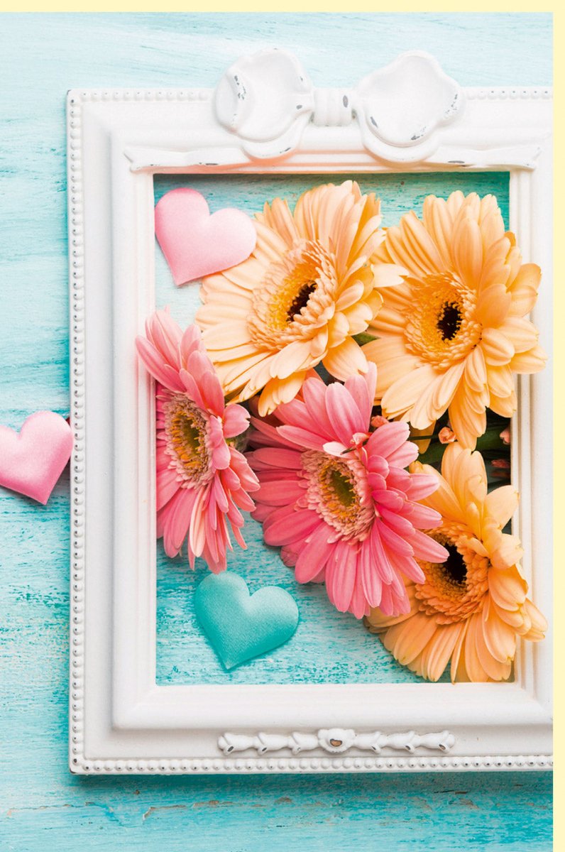 Geburtstags - & Muttertags - Doppelkarte mit Fotogruß, Blankokarte Naturmotiv, Gerbera in Orange & Rosa, Herz Deko, Frühlings - & Sommerdesign für Frauen, Liebe & Freundschaft in Pastellfarben