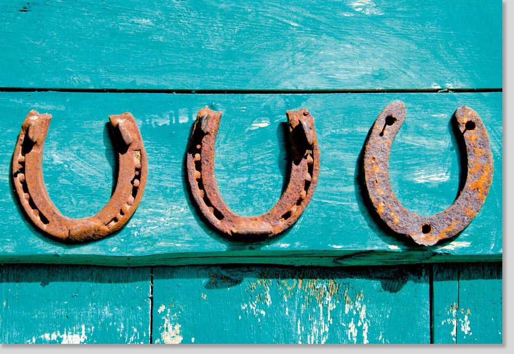 Geburtstags - & Neujahrsglückwünsche Doppelkarte - Rustikaler Glücksbringer mit Hufeisen & Holztextur, Türkis - Grün, Vintage Shabby Chic Design, Blankokarte mit Fotografie, Ideal für Pferdefreunde & Gartenliebhaber, Wanddeko & Geschenkidee