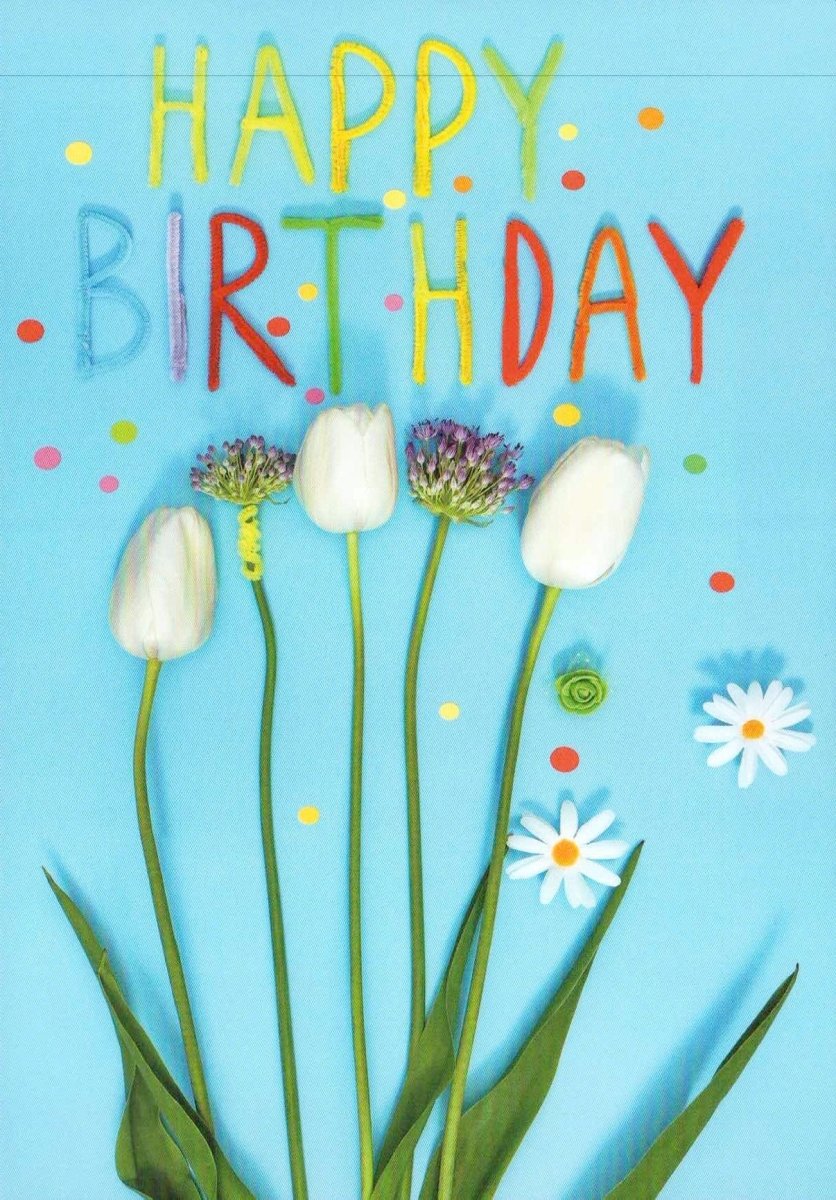 Geburtstags - Postkarte mit blumigem Motiv - Fröhliche Glückwunschkarte in Blau, Bunte Tulpen & Ranunkeln Design, Festliche Margeriten - Dekoration, Bunter Schriftzug & Punkte, Feierliche Grußkarte