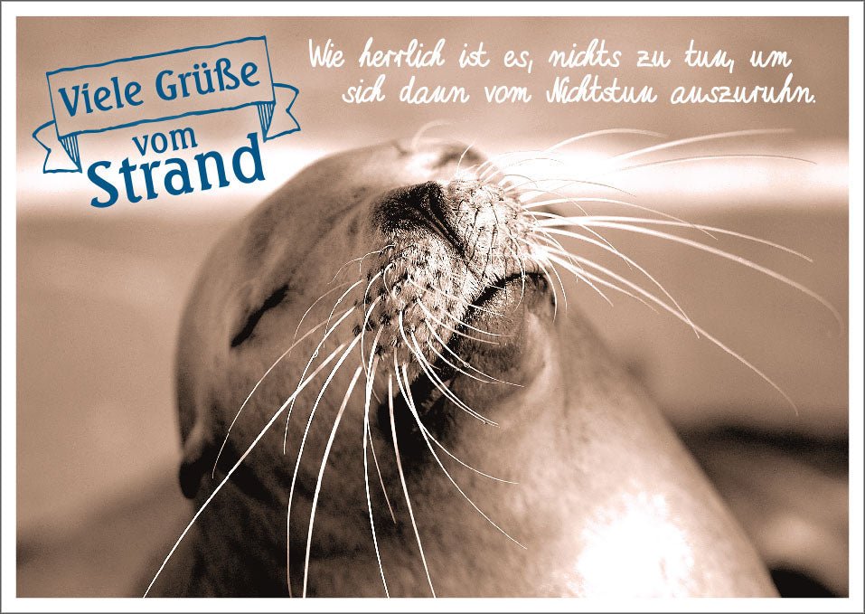 Geburtstags - Postkarte mit Seehund am Strand - Lustige zum Thema Entspannung & Erholung, Witzige Meerestier - Fotografie in Sepia