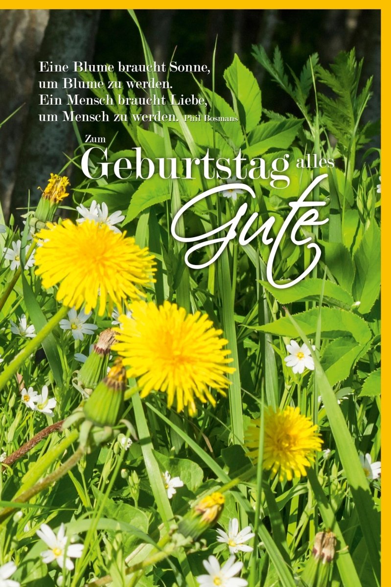 Geburtstagskarte Doppelkarte – Blumenwiese & Löwenzahn Design, Grüße voller Liebe und Poesie, Frühlings - & Sommermotiv in Grün und Gelb, Herzliche Glückwunschtexte für Freude & Fest Celebration