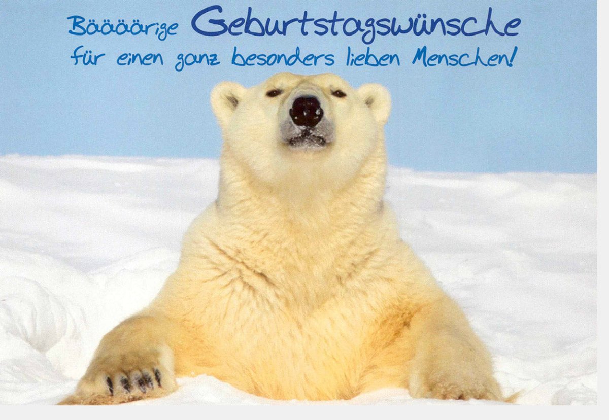 Geburtstagskarte Doppelkarte – Eisbär mit Bääääärigen Wünschen, Niedliches Tiermotiv für Besondere Menschen, Humorvolle Gratulation & Festlichkeit