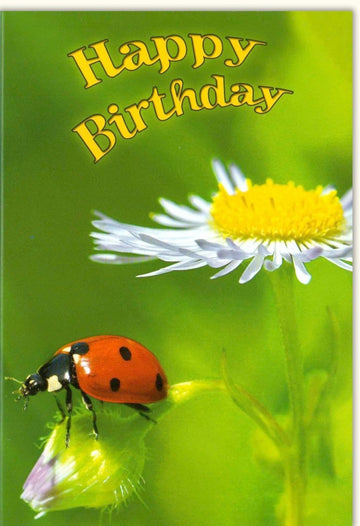 Geburtstagskarte Doppelkarte - Fröhliche Glückwunschkarte "Happy Birthday" mit Marienkäfer & Blumenmotiv, Natur Grün Gelb Rot, Schriftzug für Feier & Festlichkeit, Sommerliche Blütenwiese Design Grußkarte