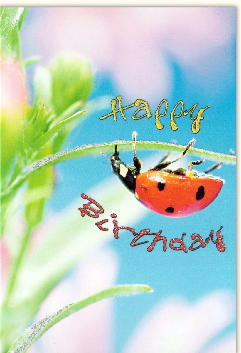 Geburtstagskarte Doppelkarte - Fröhliche Glückwunschkarte "Happy Birthday" mit Marienkäfer - Motiv, Natur - Design in Rot & Schwarz mit Punkten, Symbol für Glück & Festlichkeit, Farbenfrohe Grußkarte mit Wünschen