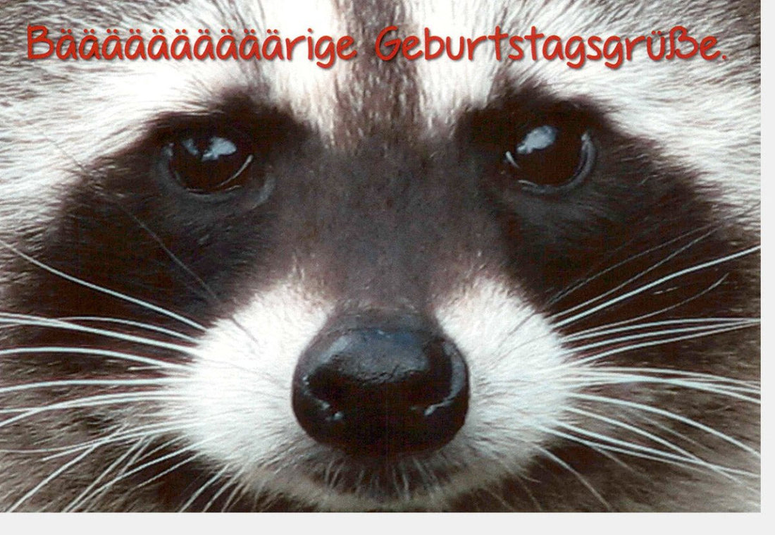 Geburtstagskarte Doppelkarte - Lustiger Waschbär, Tier - Motiv, Witzige Glückwunschkarte mit Humor und Spaß