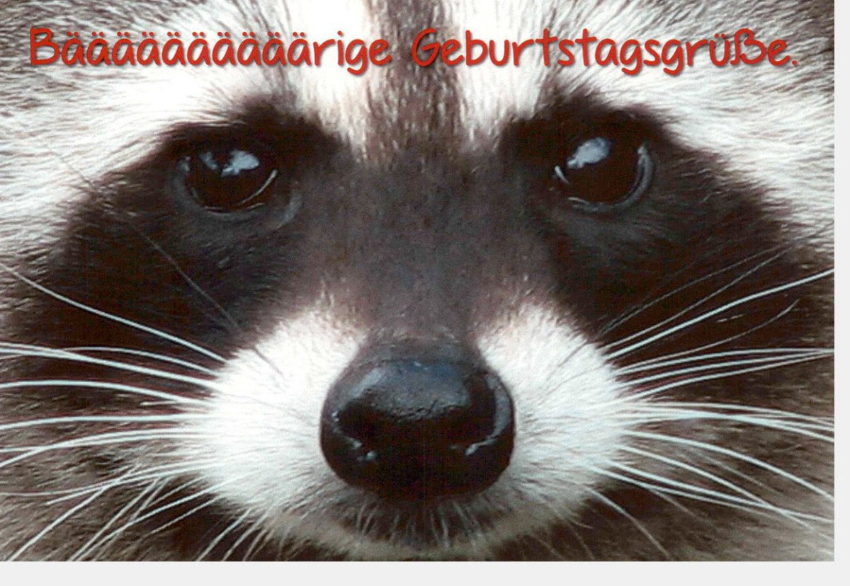 Geburtstagskarte Doppelkarte - Lustiger Waschbär, Tier - Motiv, Witzige Glückwunschkarte mit Humor und Spaß