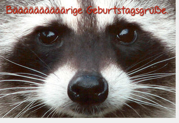 Geburtstagskarte Doppelkarte - Lustiger Waschbär, Tier - Motiv, Witzige Glückwunschkarte mit Humor und Spaß