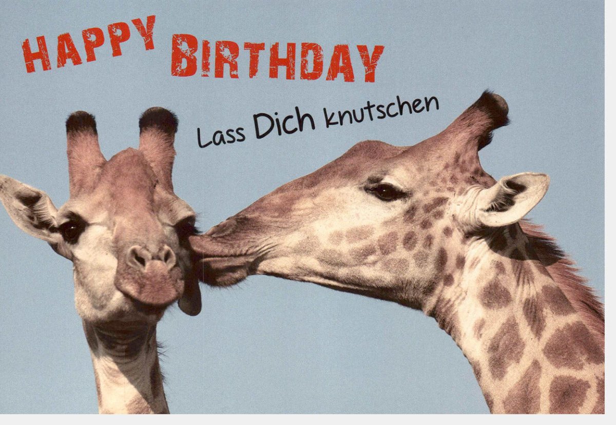 Geburtstagskarte Doppelkarte mit Giraffen - Motiv - Witzige Glückwunschkarte zum Geburtstag, Spruch "Happy Birthday & Knutschen", Liebevolle Grußkarte mit Humor, Originelles Design für Party & Freude, Herzliche Überraschung mit Tiermotiven