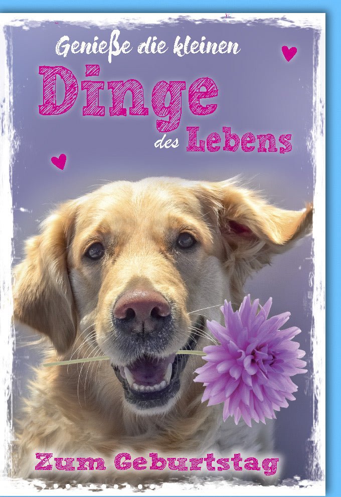 Geburtstagskarte Doppelkarte mit Hund & Blumenmotiv - Herzlichen Glückwunsch Karte für Freunde und Hundeliebhaber, Liebevolle Glückwunschkarte voller Lebensfreude und Positivität, Ideal zum Feiern und Genießen
