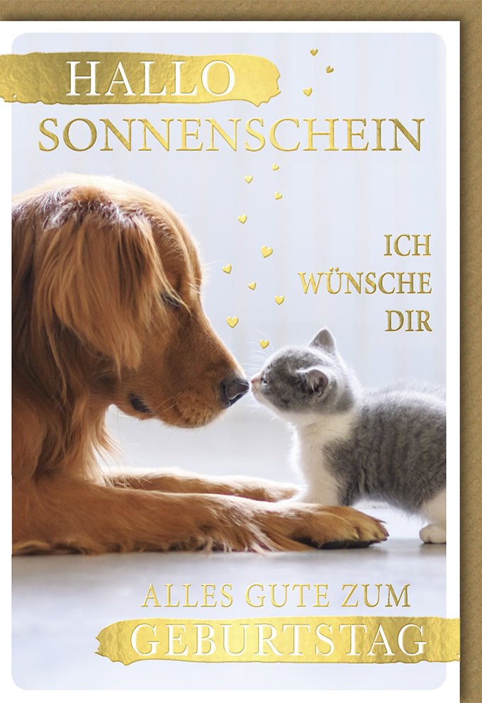 Geburtstagskarte Doppelkarte mit Hund & Katze Motiv - Herzliche Glückwunschkarte für Tierliebhaber, Freundschaft & Liebe, Niedlicher Sonnenschein Fotokarte, Perfekter Geburtstagsgruß