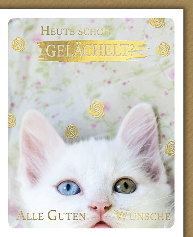 Geburtstagskarte Doppelkarte mit Katze - Witzige Glückwunschkarte, Humorvoller Spruch, Tiermotiv Grußkarte, Papeterie zur Gratulation