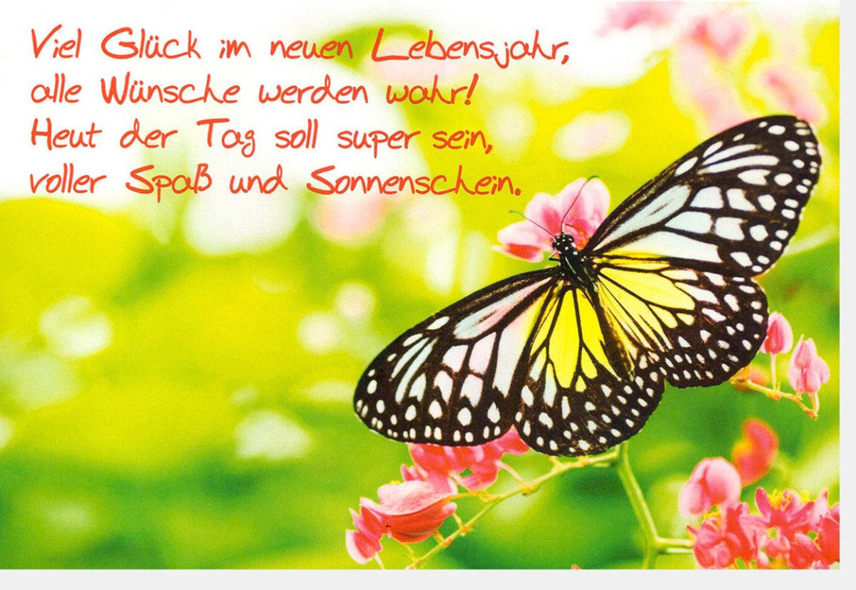 Geburtstagskarte Doppelkarte mit Schmetterling - Motiv und Lebensjahr - Spruch – Bunte Glückwunschkarte voller Lebensfreude, Natur & Blumen Design, Handschriftliche Geburtstagsglückwünsche für Festlichkeit & Persönliche Gratulation zum Jahreswechsel