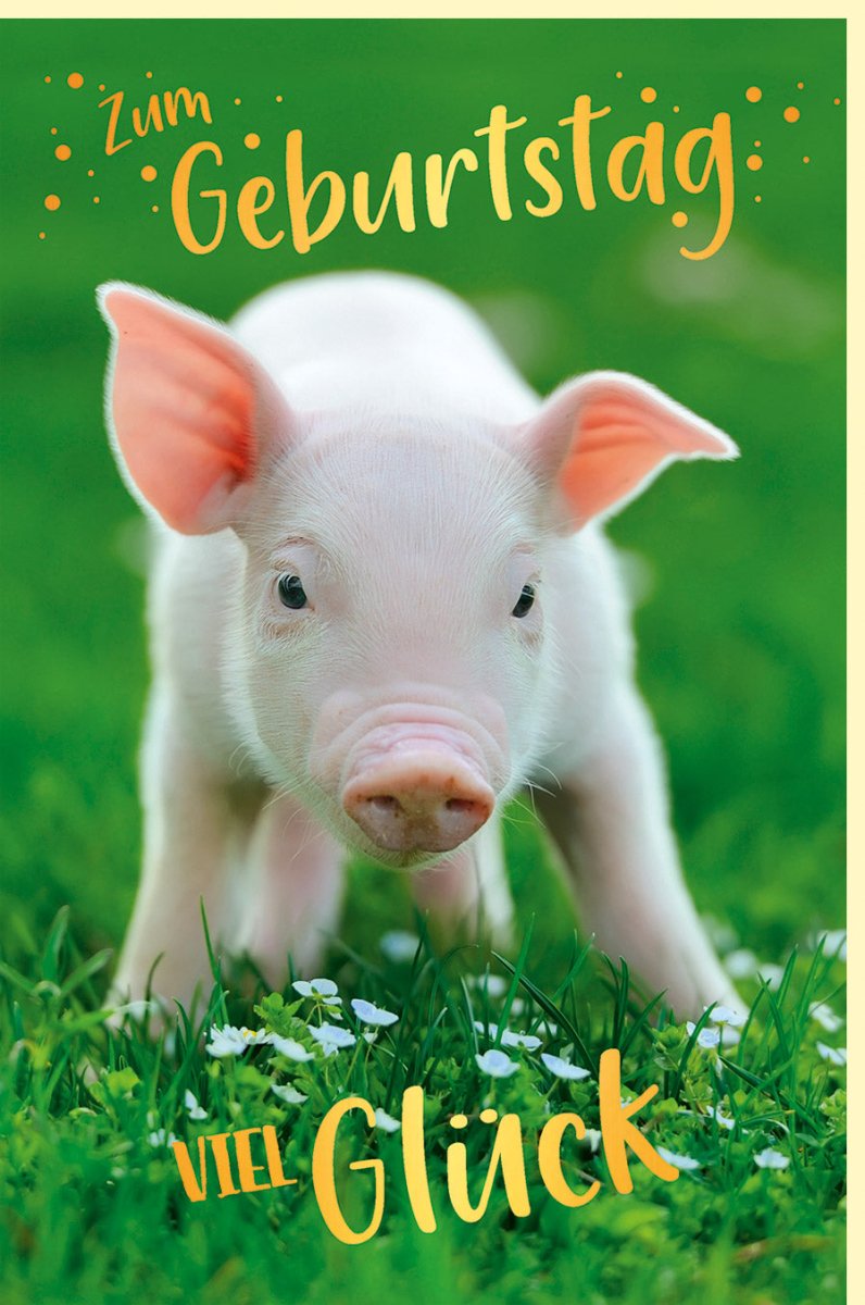 Geburtstagskarte Doppelkarte mit Tiermotiv Schwein in Goldfolie – Fröhliche Glückwunschkarte in Grün für Kinder & Erwachsene, Natur Tiere Motiv, Feier & Party Spaß, Geschenk mit Überraschungseffekt, Festliche Grüße & Gratulation