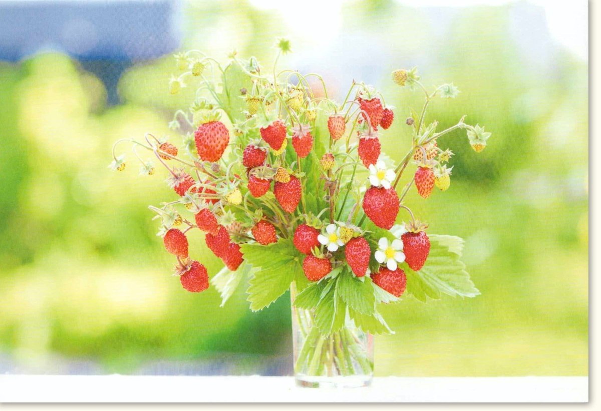 Geburtstagskarte & Einladung - Blumenkarte Natur - Motiv: Frische Erdbeeren in Glasvase, Sommerlich Grün & Rot, Schöne Blankokarte für Danke & Schönheitsgruß, Frühlingskarte Erfrischend Hell, Farbenfroh Festliche Dekorative Grußkarte