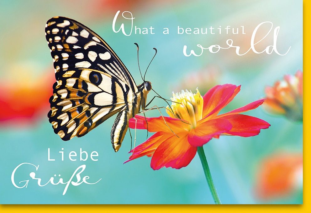 Geburtstagskarte - Farbenfrohe Doppelkarte mit Schmetterling und Blumenmotiv, Liebevolle Grüße & Glückwünsche, Naturinspirierte Fotografie, Fröhliche Textbotschaft für Jeden Anlass, Bunte Geschenkkarte "Beautiful World"