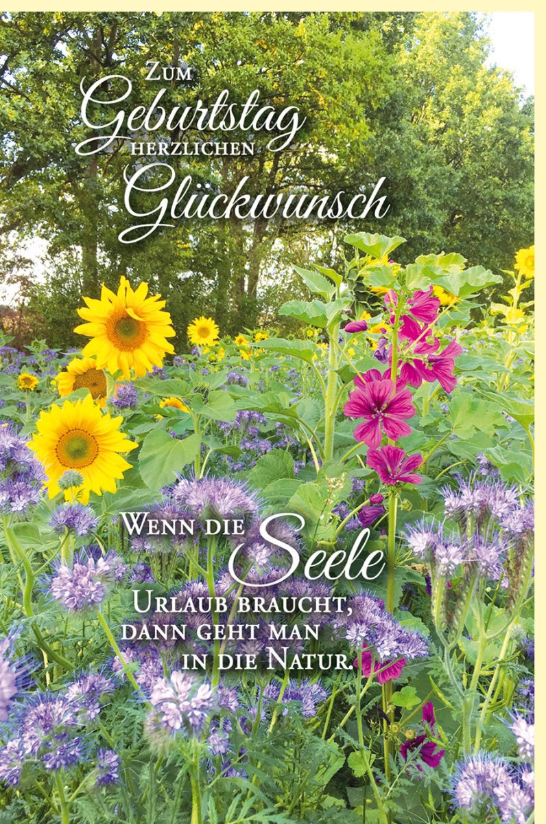 Geburtstagskarte für Erwachsene & Senioren - Sommerliches Blumenfeld mit Sonnenblumen, Naturmotiv & Spruch für Seelenfrieden, Grüße in Grün & Gelb, Doppelkarte mit Umschlag