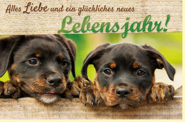 Geburtstagskarte für Tierliebhaber - Niedliche Hundewelpen am Gatter, Grüne & Braune Töne, Glückwunschkarte mit Naturmotiv, Süße Tierkarte für Hundefreunde und Hundebesitzer, Feierliche Doppelkarte
